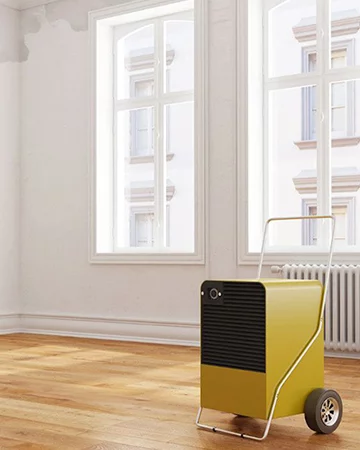 Osuszanie mieszkań rzeszów